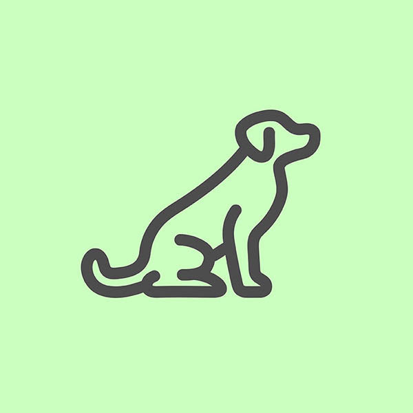 Dog walker health and safety templates