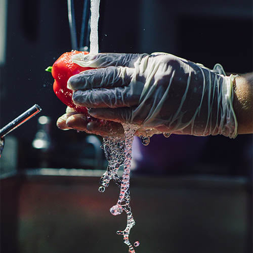 Hands in gloves washing red bell peppers.