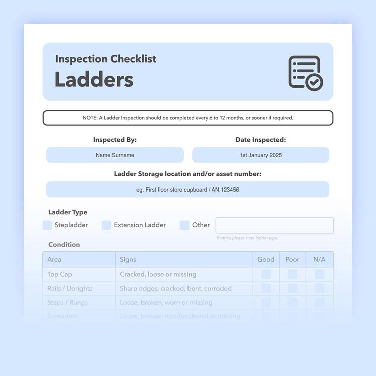 Health and safety inspection for ladders
