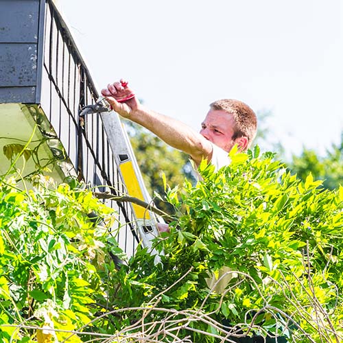 Landscape gardener working on a ladder during a garden build project.