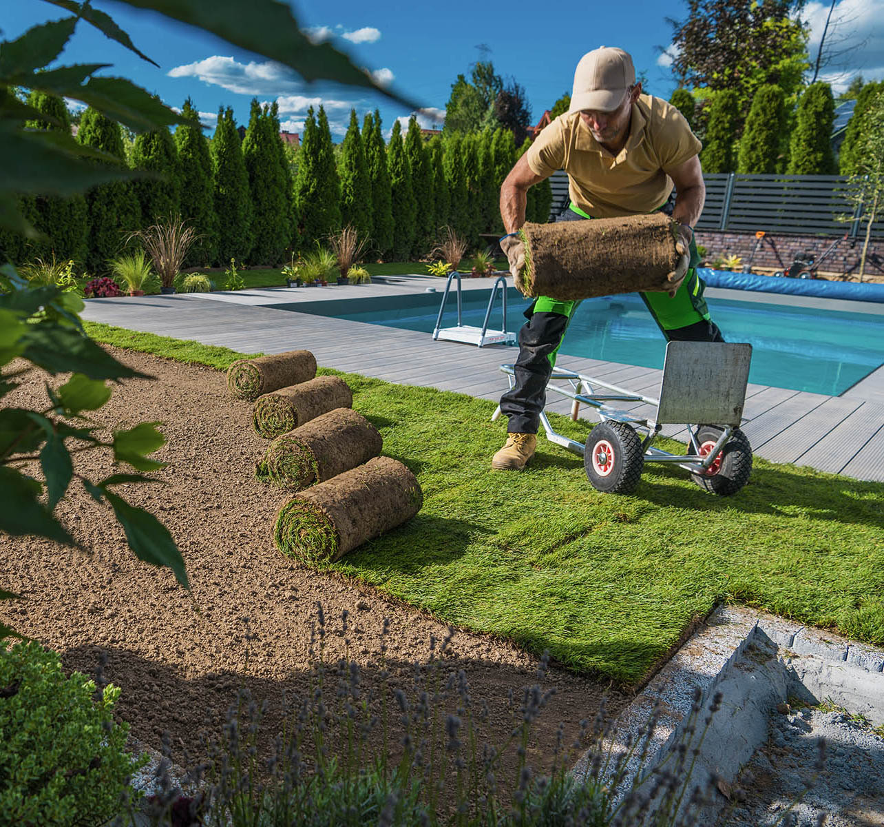 A landscaping worker preparing and laying a new grass lawn during a landscape gardening project.