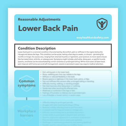 Reasonable adjustments guide for individuals with Lower Back Pain in the workplace.