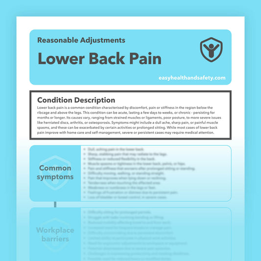 Reasonable adjustments guide for individuals with Lower Back Pain in the workplace.