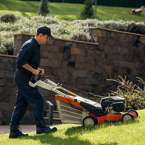 Professional gardener using a lawn mower to cut the grass on a large lawn.